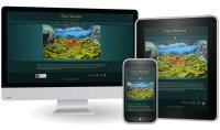Website Design Portfolio project thumbnail