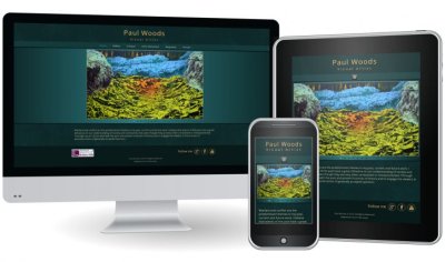 Website Design Portfolio project thumbnail