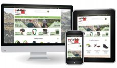 E-commerce Website and Logo Design